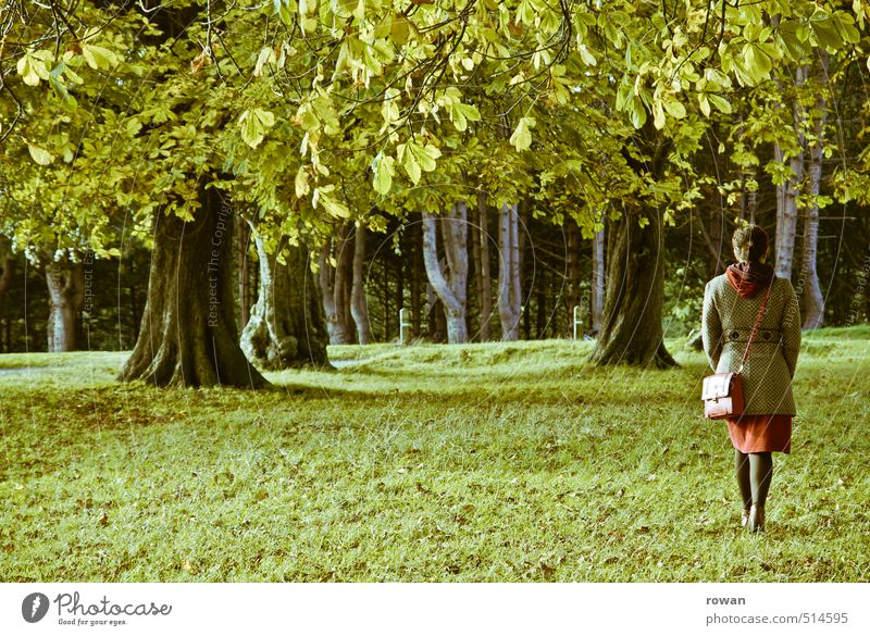 spazieren Mensch feminin Frau Erwachsene 1 gehen Blatt Blätterdach Baum Kleid Rock grün Gras Wiese Spaziergang Park Erholung Natur Luft Farbfoto Außenaufnahme