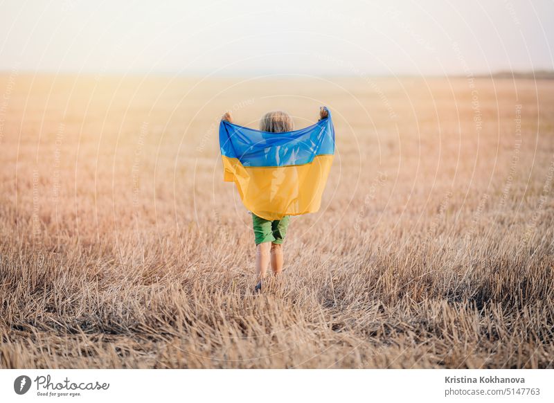 Glücklicher kleiner Junge - ukrainischer Patriot Kind mit Nationalflagge im Feld nach der Sammlung Weizen, offene Fläche. Ukraine, Frieden, Unabhängigkeit, Freiheit, Sieg im Krieg.