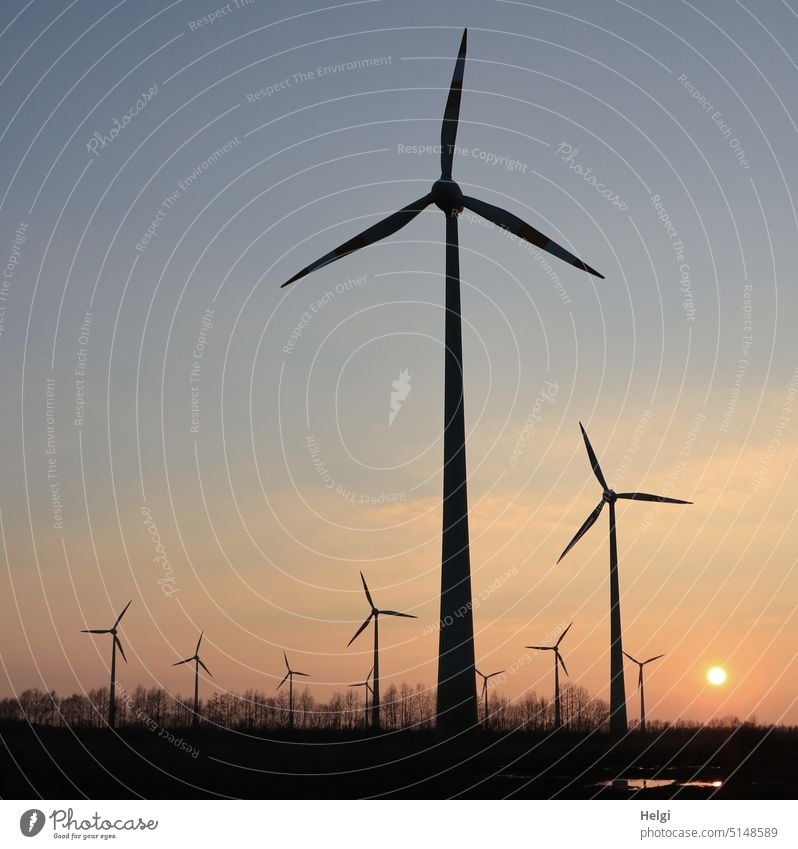Windkraftanlagen im Abendlicht vor untergehender Sonne Windrad Windpark Stromerzeugung Energie erneuerbar Umweltschutz alternativ abends Abendsonne