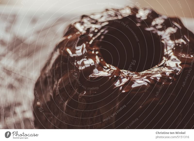 Gugelhupf mit glänzendem Schokoladenguss Kuchen Rührkuchen lecker süß Kuvertüre Backwaren Lebensmittel Nahaufnahme Schwache Tiefenschärfe backen selbstgemacht