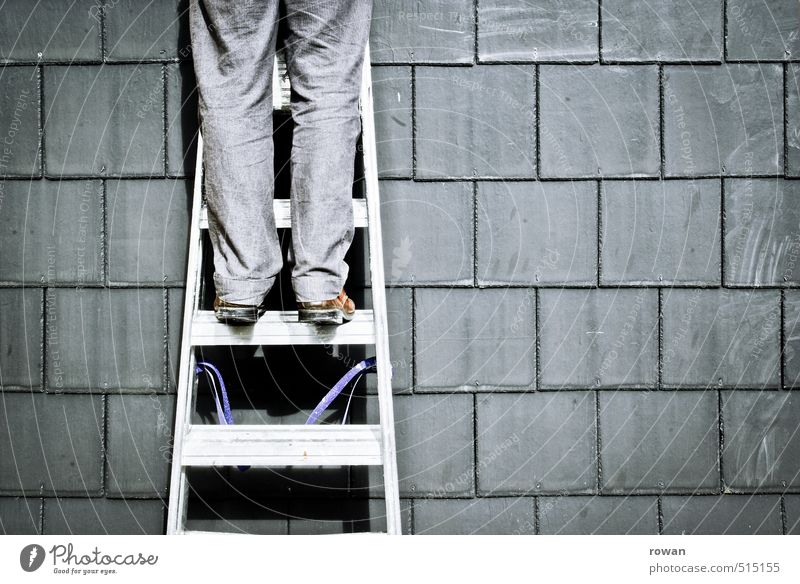aufsteiger Mensch maskulin Junger Mann Jugendliche grau Leiter aufsteigen Klettern Dach Reparatur Handwerker aufwärts Leitersprosse Wand Bauarbeiter Heimwerker