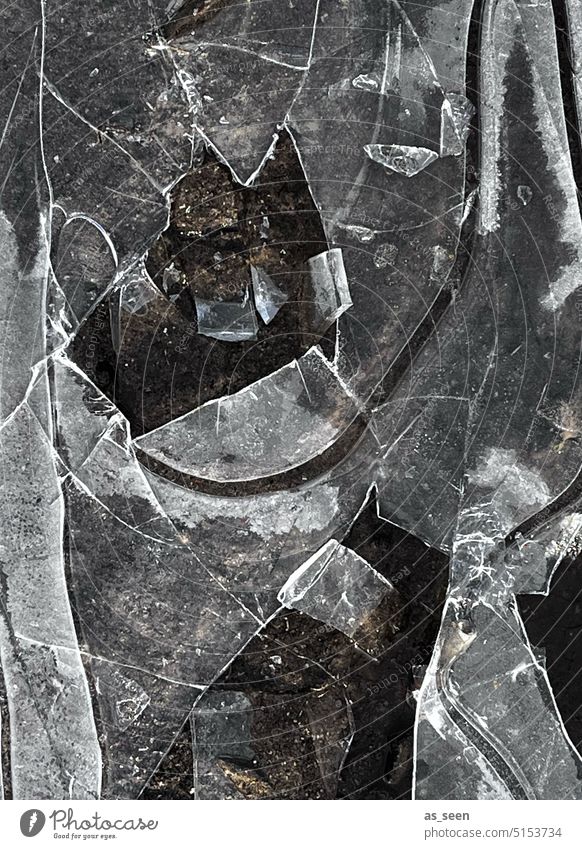 Schwarze Eissplitter Frost gefroren Pfütze Eisschollen Winter kalt Menschenleer Außenaufnahme Wasser Umwelt abstrakt Strukturen & Formen Schwarzweißfoto bizarr