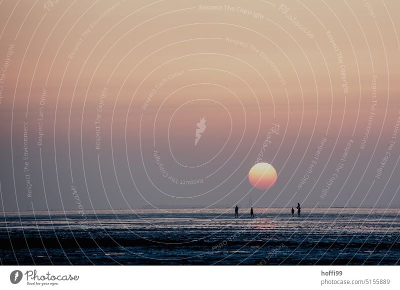 vier Menschen ihm Wattenmeer bei Sonnenuntergang, im Hintergrund die verschwommene Silhouette von Wangerooge Sonnenuntergangshimmel Meer