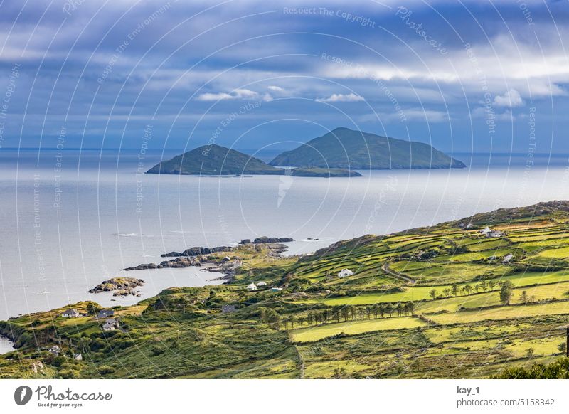 Irische Küstenlandschaft mit Inseln am Horizont Küstenlinie Küstenstreifen Irland Weide Weideland Weidelandschaft Wasser Atlantik Atlantikküste Atlantic Ocean