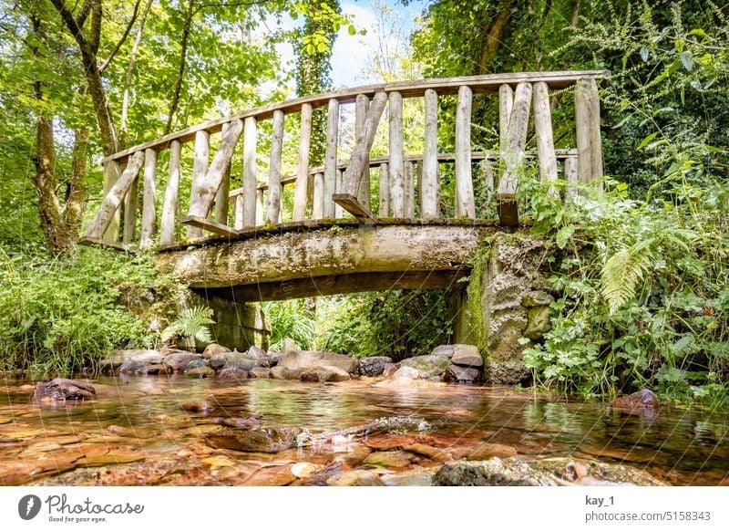 kleine Holzbrücke über Bach Brücke grün Fluss Natur Steine Wasser Landschaft Außenaufnahme Menschenleer Wald ruhig Berge u. Gebirge fließen Idylle idyllisch