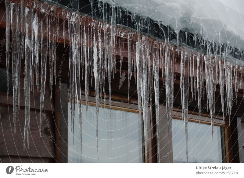 Eiszapfen am schneebedeckten Dach vor einem Fenster Winter kalt Kälte Holzhaus gefroren Klima Winterstimmung Wintertag frieren winterlich Außenaufnahme Frost