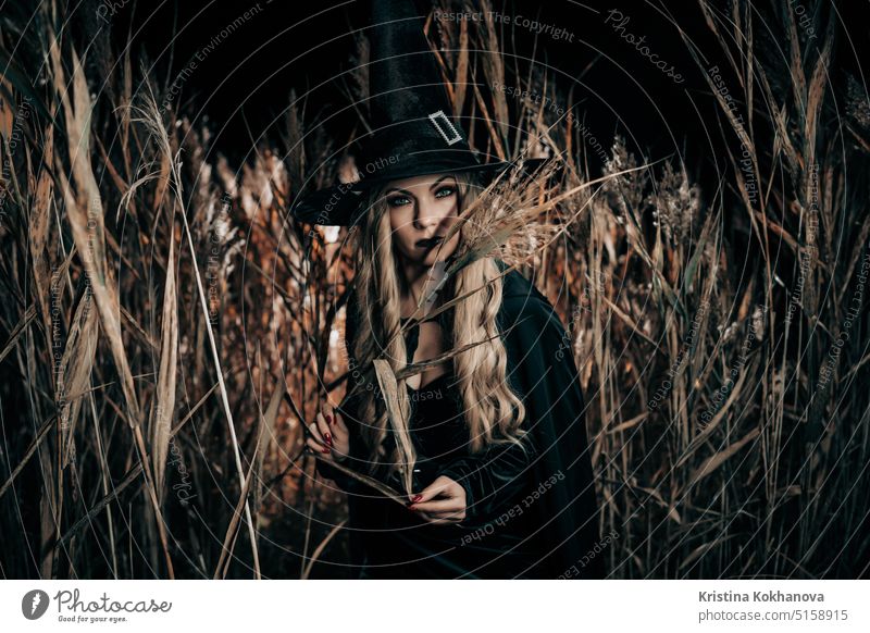 Blonde Hexe in schwarzem Umhang und Hut posiert in Schilf Feld in der Nacht. Halloween Mädchen Entsetzen spukhaft Person Frau dunkel Kind Tracht