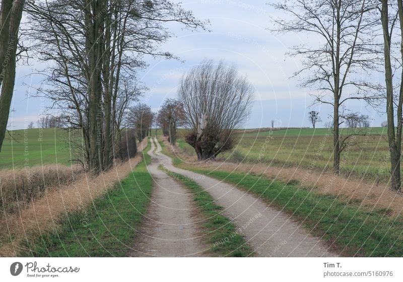 ein langer ausgefahrener Weg in Brandenburg Uckermark Winter Wege & Pfade Farbfoto Baum Menschenleer Außenaufnahme Landschaft Tag Feld Himmel Natur Umwelt