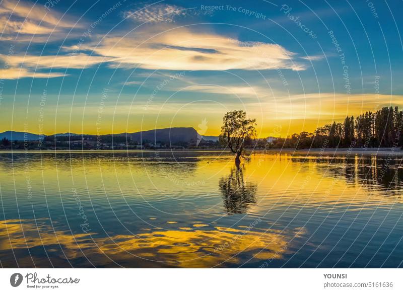 Spiegelungen am Lake Wanaka bei Sonnenuntergang, wanaka tree Neuseeland leer niemand ungewöhnlich Wachstum reisen Berge u. Gebirge Cloud Strand Wasser See