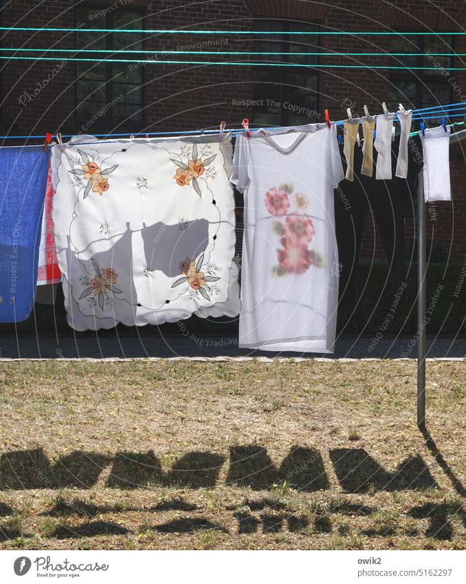 Trockenfrüchte Textilien hängen Wäscheleine Wiese Schatten Nachthemd Socken Bekleidung T-Shirt Wäschetrockner Wäscheklammern Haushalt Wäscheständer