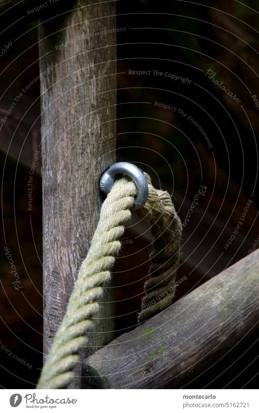 ausgefranst | zum glück noch nicht Erlebnispfad Natur alt Seil Holz seil tau Ösenschraube Halt Sicherheit Seilführung