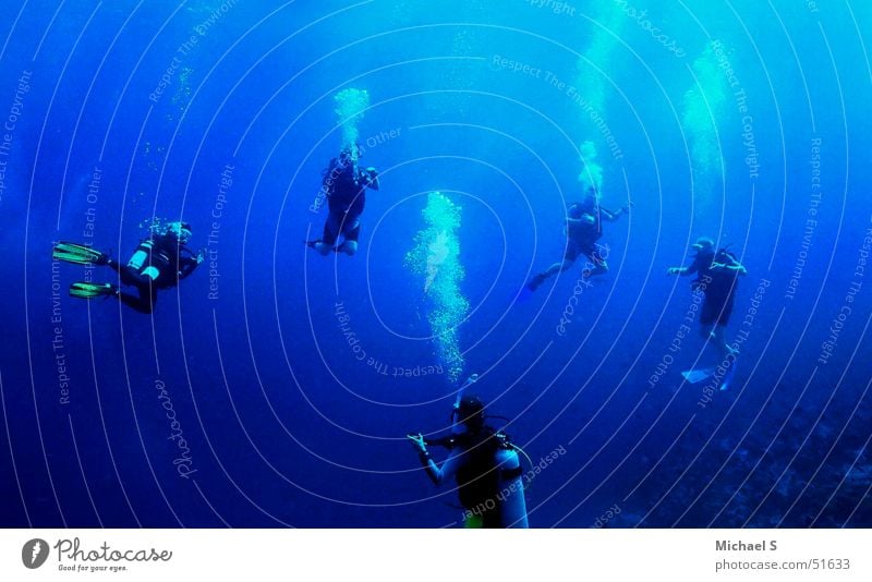 Tauchgruppe auf den Malediven tauchen Unterwasseraufnahme Taucher Wassersport Freiheit Schwerelosigkeit unterwasserfoto einer tauchgruppe