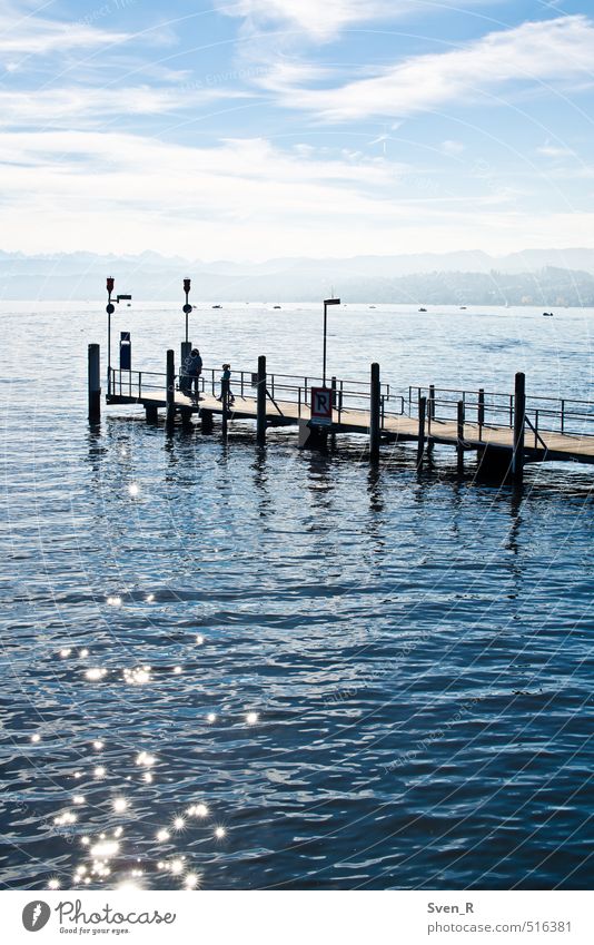 Zürichsee Sonne Landschaft Sonnenlicht See Zürich See Wasser Schwimmen & Baden glänzend leuchten Steg Farbfoto Außenaufnahme Textfreiraum unten Tag