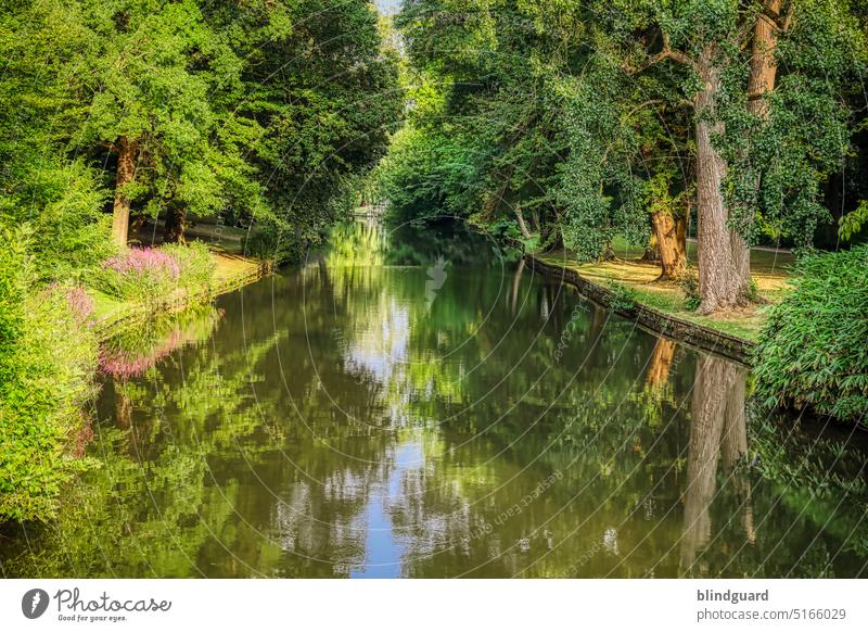 Brügge brügge belgien minnewater fluß kanal Tourismus Kanal Europa Fluss idylle ufer bäume wiese sommer paradiesisch hintergrund schön Brücke Landschaft