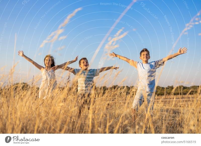 Drei Kinder mit offenen Armen auf dem Lande im Sommer Air Waffen Hintergrund schön Kindheit Konzept Landschaft Tag trocknen genießen Familie Feld frei Freiheit