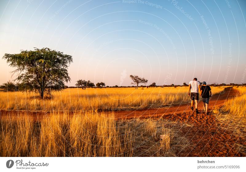 herzensland namibia Afrika Namibia Ferne Fernweh Sonnenlicht Sonnenuntergang