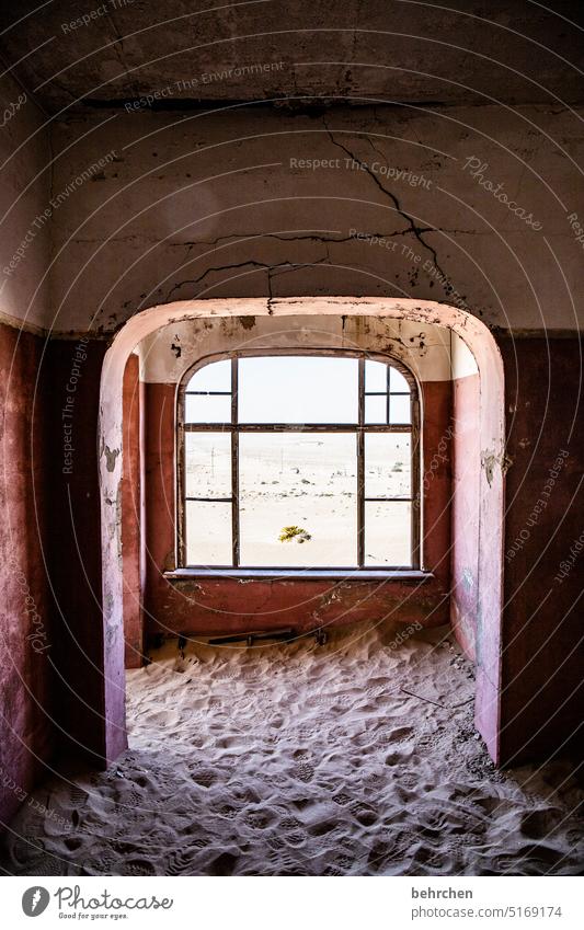 lichblick Schatten Licht verlassen Vergänglichkeit Afrika Namibia Wüste Fernweh Farbfoto Abenteuer Ferien & Urlaub & Reisen besonders beeindruckend trocken