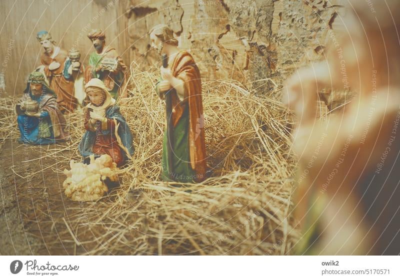 Blasse Erinnerung Weihnachtskrippe Weihnachten & Advent Heilige Familie Maria Josef Jesuskind Jesus Christus Zusammenhalt Tradition Idylle ruhig Menschengruppe