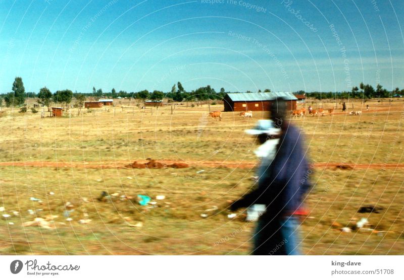 Auf dem Weg zur Safari Afrika schwarz weiß braun grün Baum Symbole & Metaphern Müll Haus Geschwindigkeit Kenia Mann fahren Mensch blau Straße Wege & Pfade