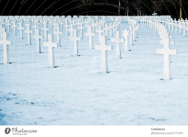 Kriegsgrabstätte Friedhof Grabstätte Gräber Soldatebfriedhof gefallene Soldaten Ehrenfriedhof Gefallenenfriedhof Tod Trauer Bestattung Zweiter Weltkrieg