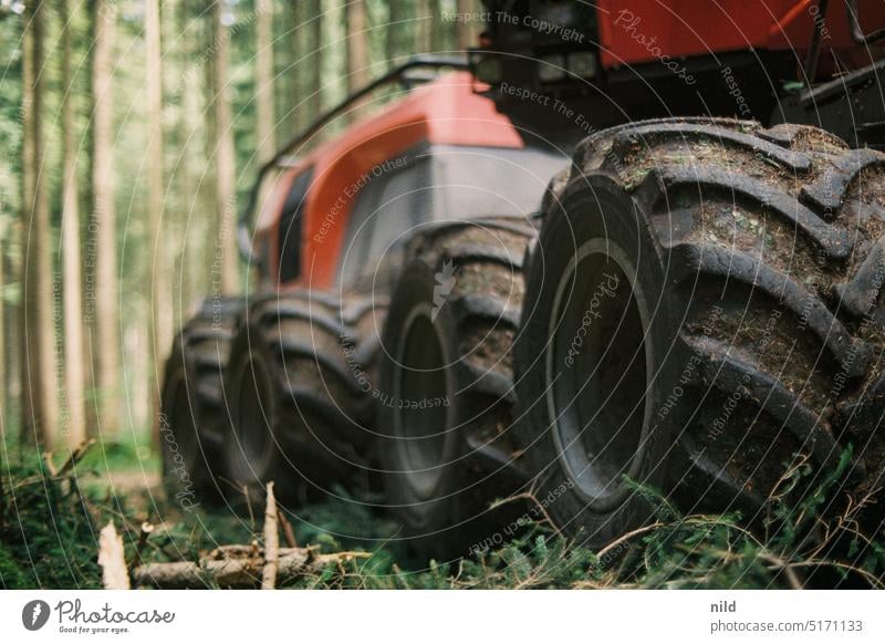 Schwere Maschine – Rund um München Bäume Wald Kontrast Außenaufnahme Natur Umwelt Analogfoto Fichtenwald Monokultur Landschaft Forstwirtschaft Nadelwald