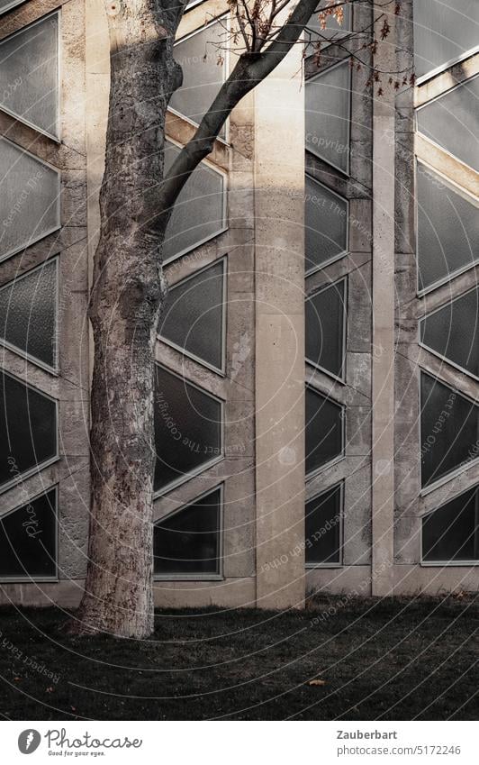 Detail der Fassade der St Ansgar Kirche, Betonstruktur mit Baum Struktur modern brutalistisch grau katholisch Architektur urban Strukturen & Formen abstrakt