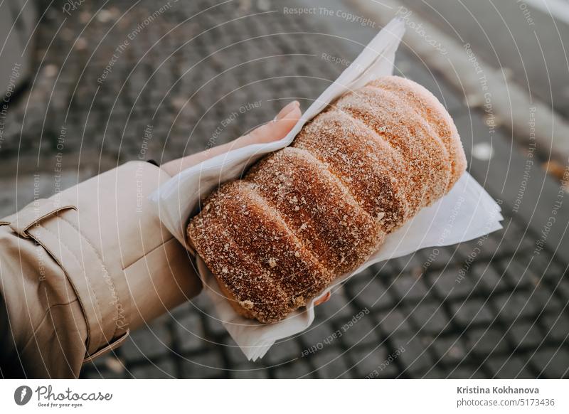 Trdlo Trdelnik in der Hand. Traditionelles, schmackhaftes, gebackenes tschechisches Straßenessen trdelnik Hintergrund Bäckerei Brot braun Zimt Tschechen Dessert