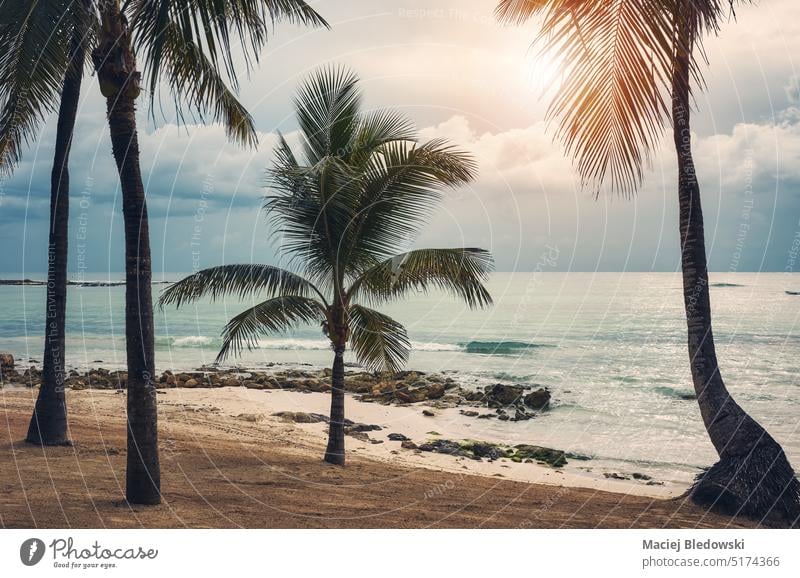 Farbiges Bild eines leeren tropischen Strandes, Reisekonzept, Mexiko. Sommer Urlaub Feiertag reisen Sonne Natur Karibik Himmel Wasser Sand sich[Akk] entspannen