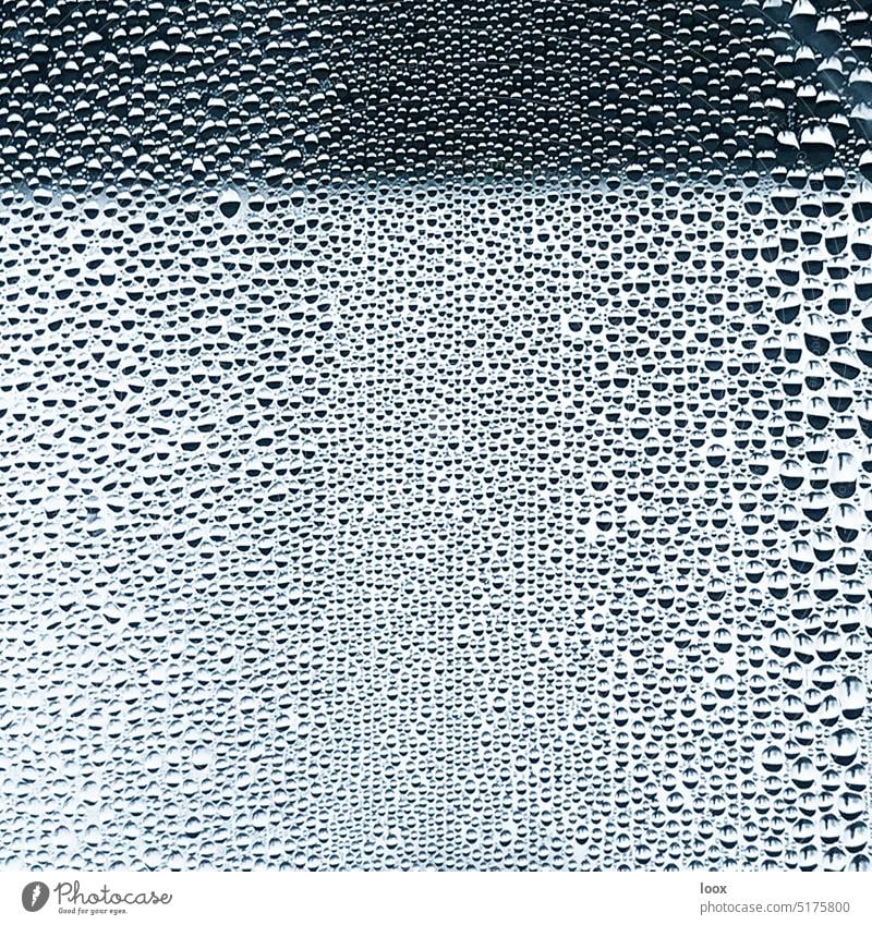 4eyes | Wasserperlen tropfen glasscheibe spiegelung reflexion nass feucht muster struktur detail glänzend Regen abstrakt Physik Natur Linien Kreis Kondenswasser