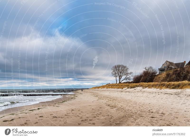 Buhnen an der Küste der Ostsee in Ahrenshoop auf dem Fischland-Darß Ostseeküste Meer Strand Düne Wellen Haus Gebäude Architektur Baum Landschaft Natur Wasser