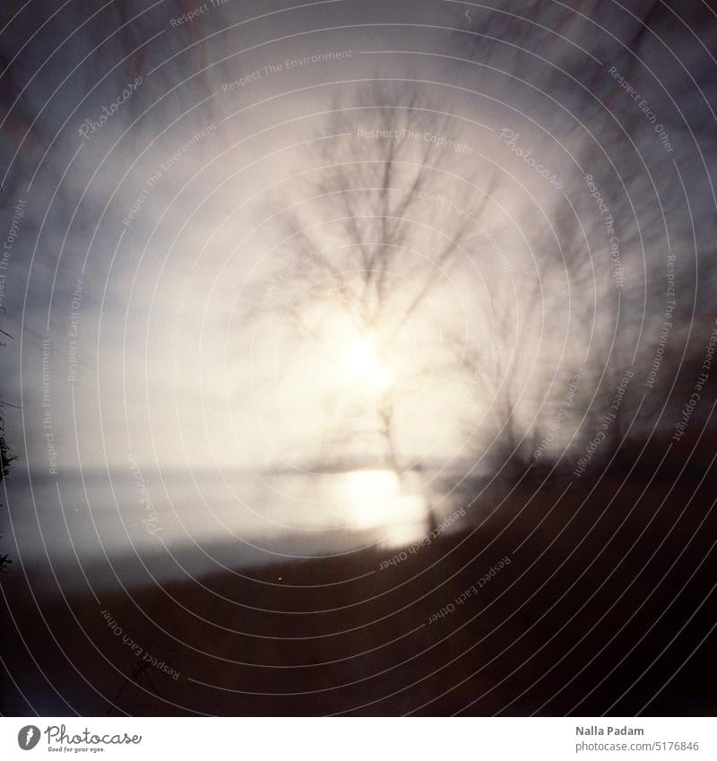 Seeblick mit Baum und Sonne analog Analogfoto Farbe Farbfoto Wasser unscharf Außenaufnahme Natur Tag menschenleer Pinhole