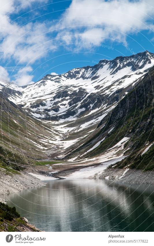 Zillertaler Zillergrund Speichersee Berge u. Gebirge See Alpen Schnee Gebirgssee Natur wandern Tourismus Außenaufnahme Schneebedeckte Gipfel