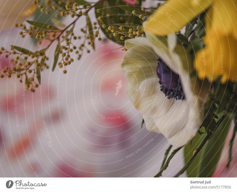 Anemone in Frühlingsstrauß auf buntem Hintergrund Blume Blumen und Pflanzen Farbe Gelb Tulpe Natur Blüte Farbfoto Nahaufnahme Blühend Garten natürlich grün