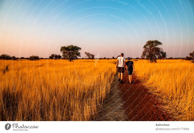 lassegeschichten Sonnenlicht Wärme Zufriedenheit fantastisch Sohn Kindheit wunderschön träumen Kitsch romantisch Abenddämmerung Sonnenuntergang Gras Kalahari