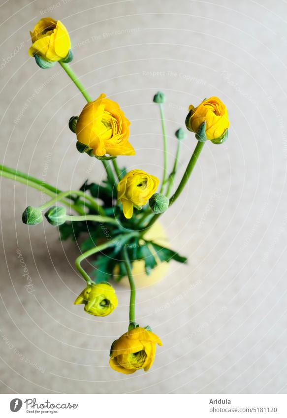 Gelbe Ranunkeln in gelber Vase Strauß Frühling Blume Blumenstrauß Blüte Dekoration & Verzierung Innenaufnahme Blütenblatt grün Geschenk frisch Pflanze hell