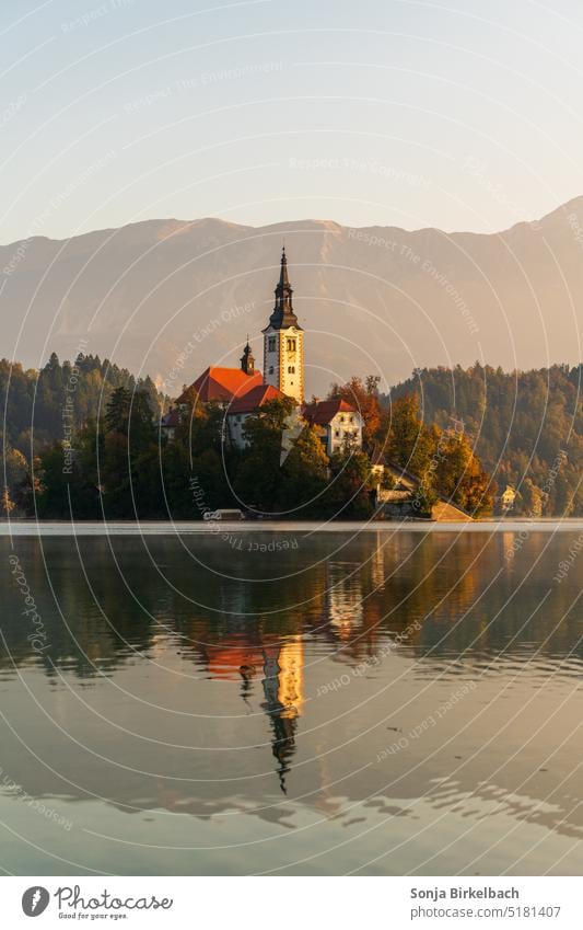 Goldenes Bled Bleder See Lake Bled Slowenien Kirche Wasser lake bled Landschaft Insel Berge u. Gebirge Außenaufnahme Farbfoto Natur Tourismus Seeufer