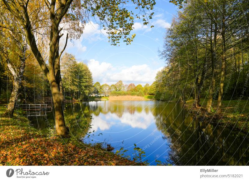 Naturbadesee Ostheim in der Nähe von Malsfeld. Idyllische Natur im Herbst. Landschaft am See. idyllisch Seeufer Wasser ruhig Umwelt Menschenleer Baum