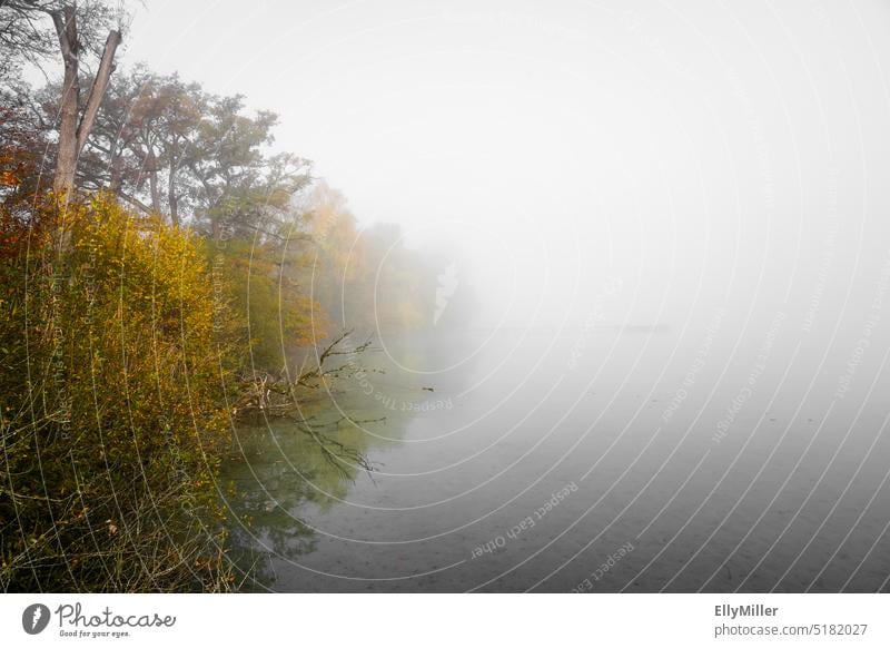 Nebel am Morgen. Herbstliche Landschaft am See. Morgendämmerung Morgennebel morgens ruhig Nebelschleier Nebelstimmung Morgenstimmung Stimmung Menschenleer