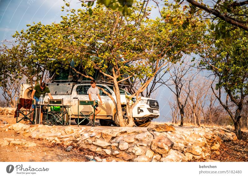 wildes namibia Abenteuer Ferien & Urlaub & Reisen Baum Afrika Namibia reisen Fernweh jeep Zelt dachzelt Zeltplatz campen Campingplatz Wildnis Kind Sohn Kindheit