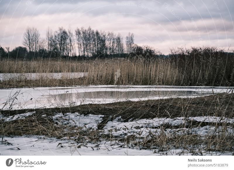 Gelassenheit im dunklen, düsteren Sumpf Sumpfgebiet Winter Spätwinter Vorfrühling schmelzender Schnee Windstille Einsamkeit keine Menschen niemand ruhig Eis