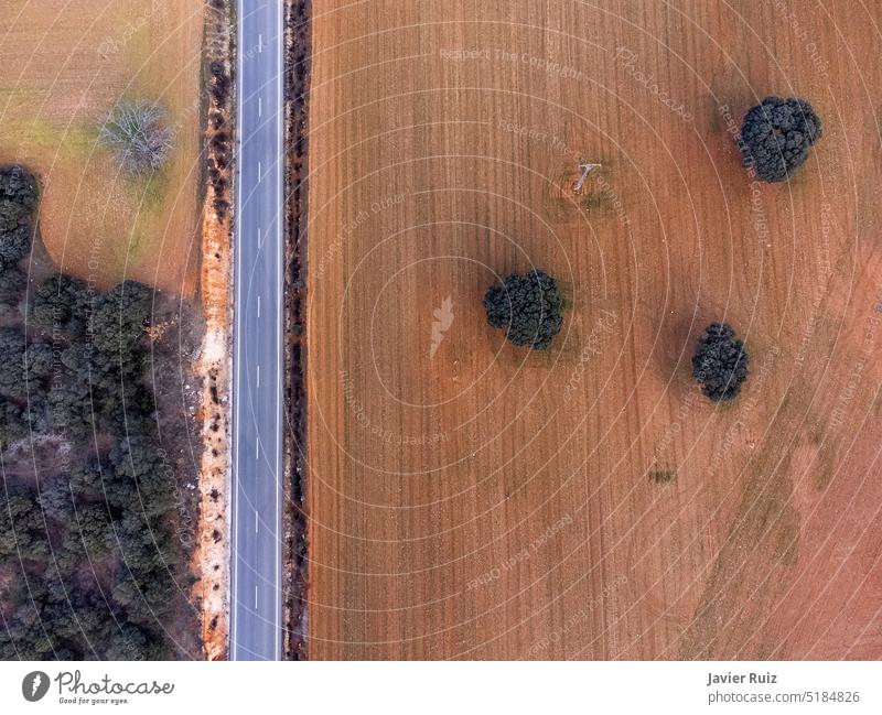 Zenitansicht einer geraden Straße, die zwischen gepflügten Feldern aus roter Erde mit einigen Steineichen verläuft Linie Asphalt Weg Drohnenansicht zenithal