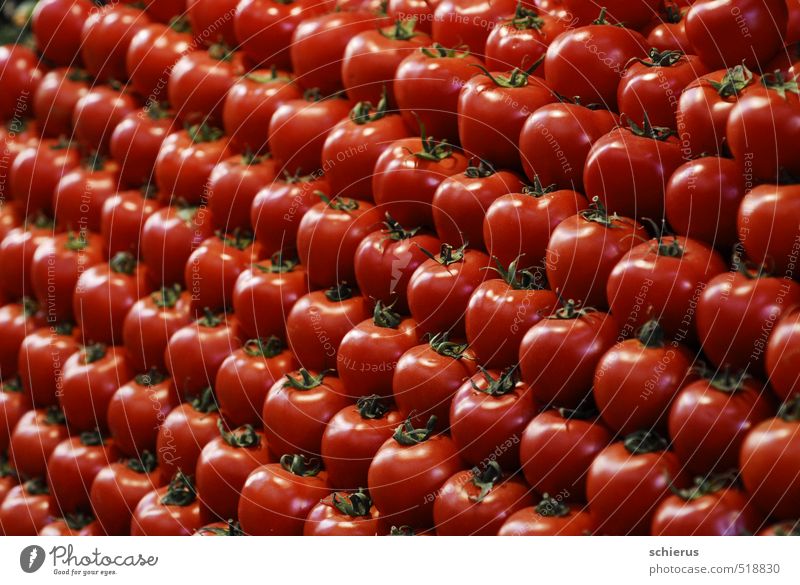 Tomaten Lebensmittel Gemüse Ernährung Bioprodukte Vegetarische Ernährung Gesundheit Gesunde Ernährung Pflanze Nutzpflanze frisch lecker süß rot Markt Farbfoto