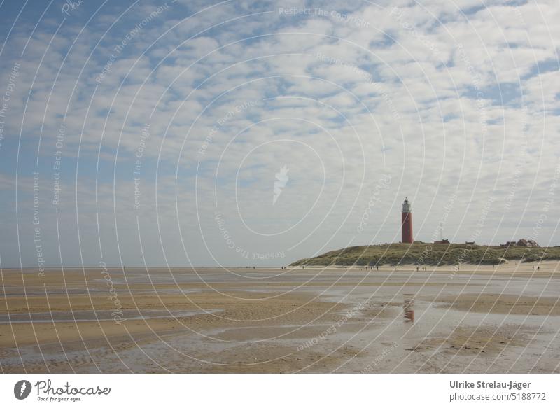 Leuchtturm spiegelt sich im Watt an der Nordseeküste roter Leuchttrum Spiegelung Spiegelung im Wasser Reflexion & Spiegelung Wattenmeer Küste Strand