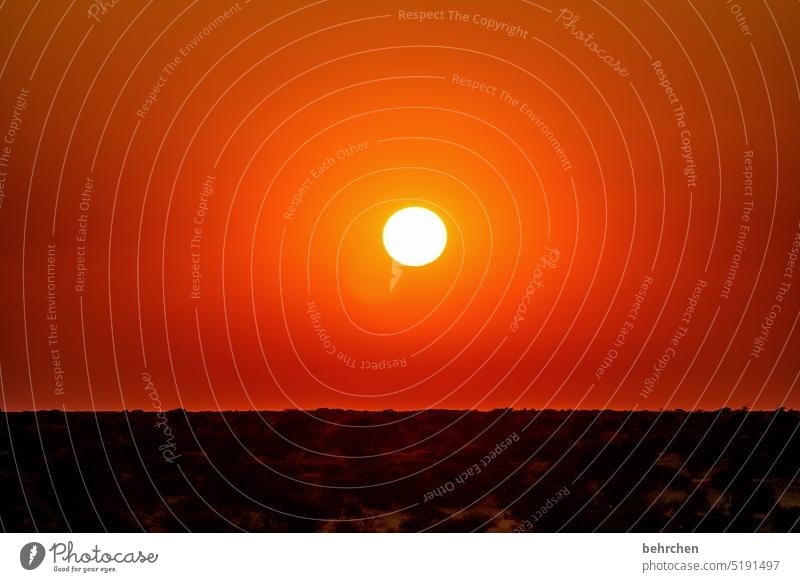 punkt Himmel Wärme traumhaft besonders Natur magisch Afrika Ferne Namibia Fernweh etosha national park Etosha Abend Abenddämmerung Sonnenlicht träumen