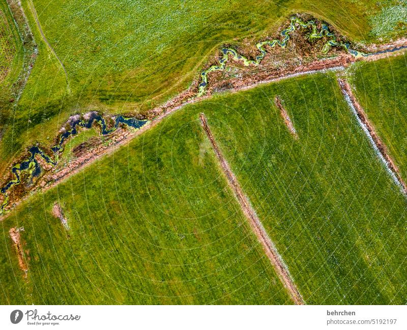 von oben Flußbett Fluss Drohne Vogelperspektive Baum Landschaft grün Acker Feld Spuren Felder