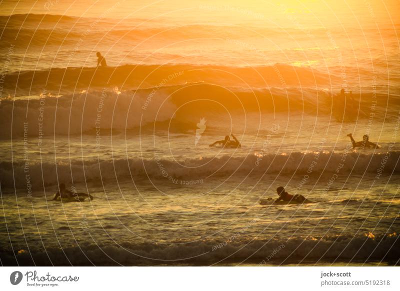 mit den ersten Sonnenstrahlen sind alle auf dem Surfbrett Gruppe Sonnenaufgang Morgen Sonnenlicht Silhouette Surfer Natur Gegenlicht Meer Pazifik Wärme Romantik