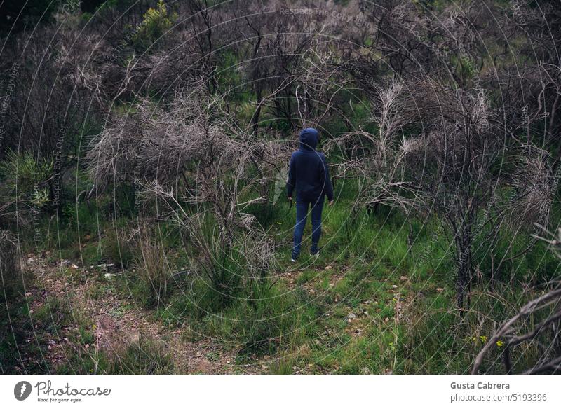 Frau in Sweatshirt und Kapuzenpulli geht durch den Wald. konzeptionell Landschaft Erholung Berge u. Gebirge Baum Mensch Ferien & Urlaub & Reisen Abenteuer