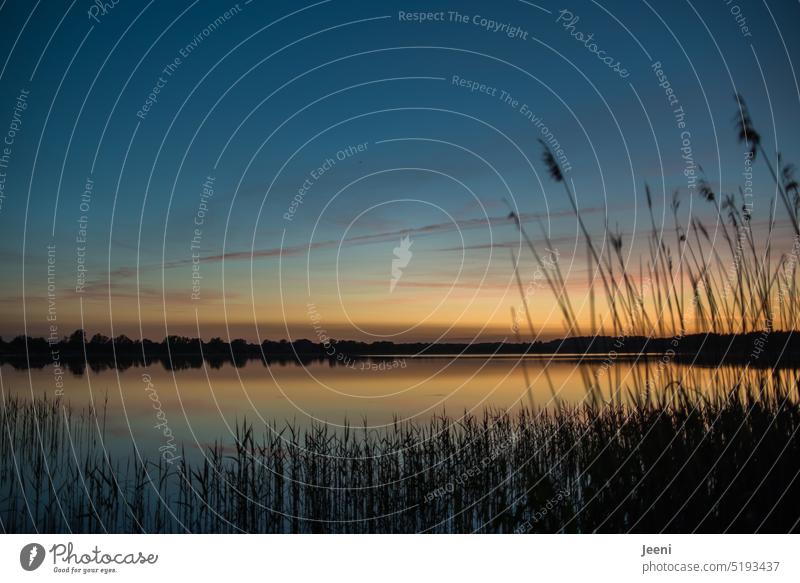 Idyllischer Sonnenuntergang See Seeufer Wasser Wasseroberfläche ruhig Stimmung Sommer Sommersonnenwende Idylle friedlich Natur Landschaft Reflexion & Spiegelung