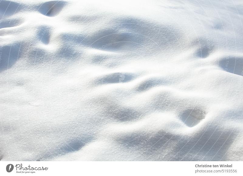 Schneedecke verschneit winterlich schneebedeckt Kälte Umwelt Wetter Wintertag Natur Winterstimmung kalt weiß Hintergrundbild