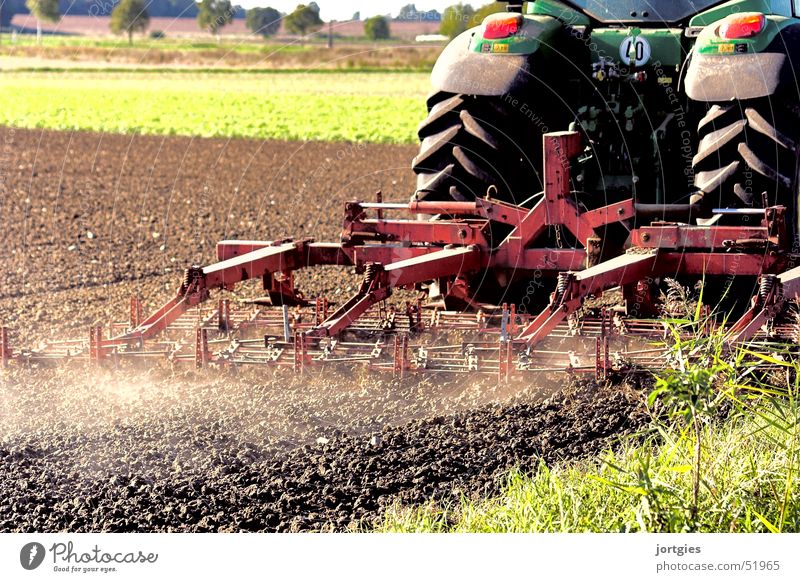 arbeitsam Landwirtschaft Forstwirtschaft Maschine Umwelt Frühling Feld Traktor Arbeit & Erwerbstätigkeit füttern machen Wachstum frei fleißig Hoffnung Identität